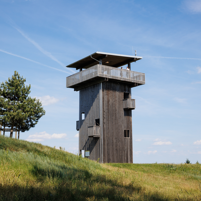Moderner Aussichtsturm aus Holz auf einer sanft ansteigenden Wiese im Burgenland. Die erhöhte Plattform bietet einen weiten Blick über die Landschaft, während einzelne Bäume den Standort umgeben. | © Eisenstadt2026_0049©BurgenlandTourismus_MariaHollunder