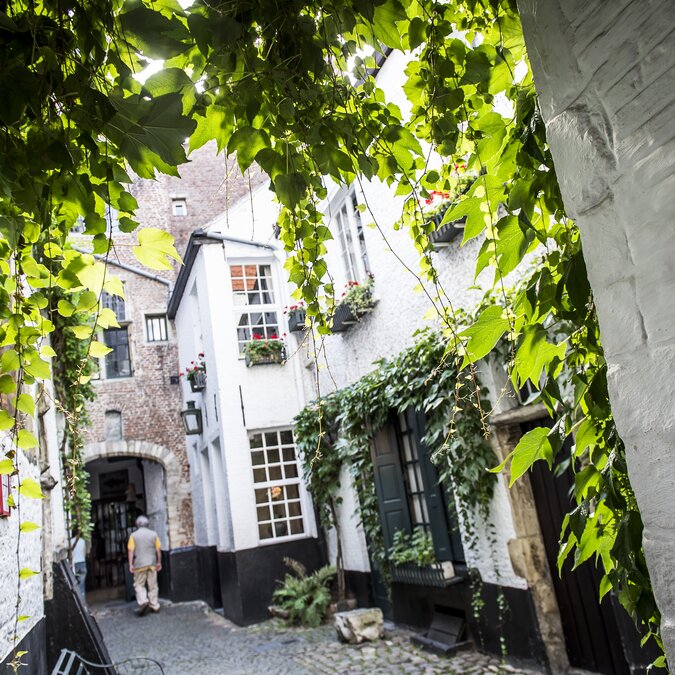 Schmale historische Gasse in der Vlaeykensgang Antwerpen mit Kopfsteinpflaster und grünen Rankpflanzen. | © Sigrid Spinnox – Vlaeykensgang Antwerpen-Zentrum