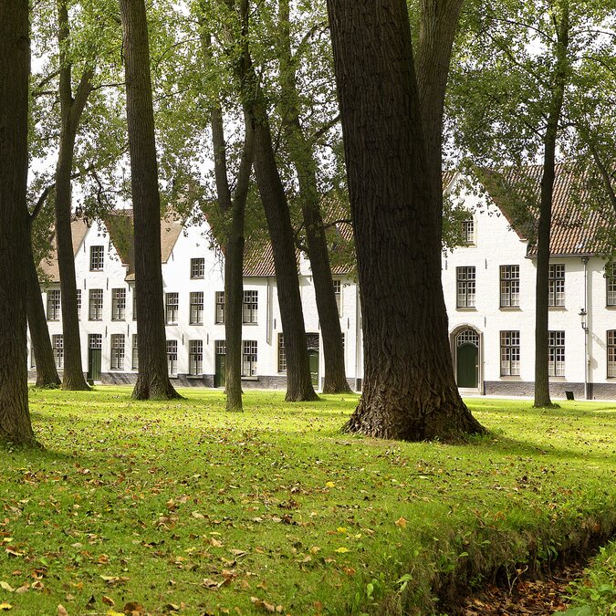 Grüne Parkwiese mit Bäumen vor weissen historischen Häusern im Beginenhof Brügge. | © Milo Profi – Brügge, Beginenhof