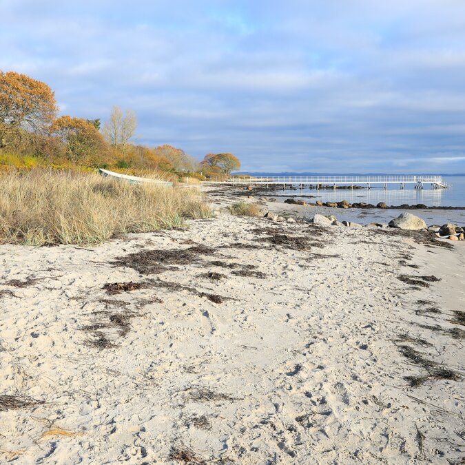 Schöner Bellevue Strand in Aarhus, Dänemark | © shutterstock_2560129319