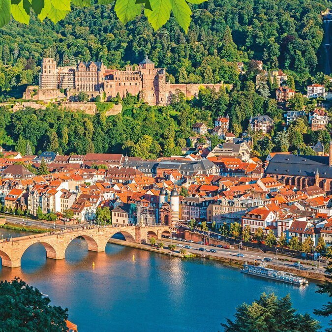 Blick auf Heidelberg im Sommer | © Shutterstock 268806044