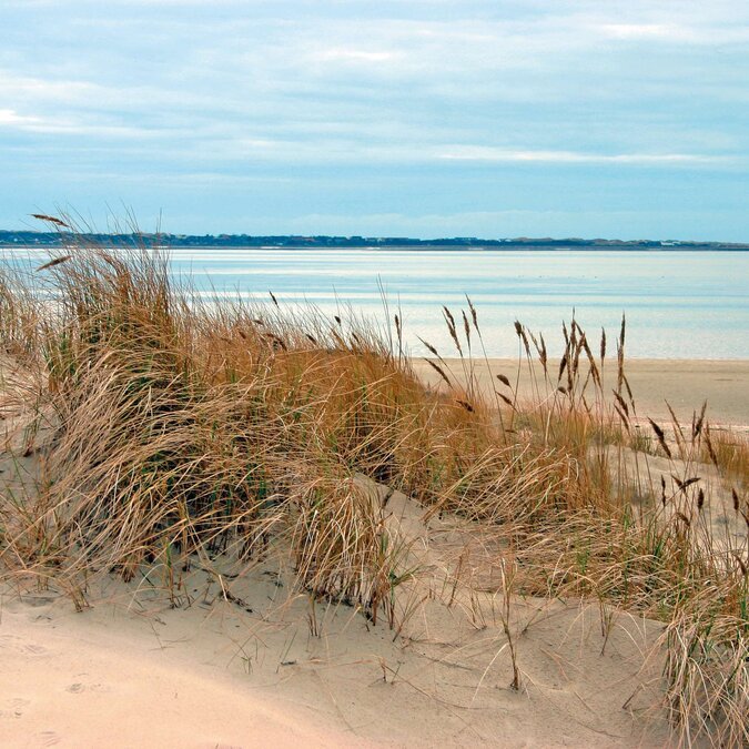 Dünenlandschaften auf der Nordseeinsel Föhr