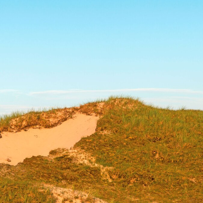 Der Leuchtturm von Norderney | © Shutterstock 373942933