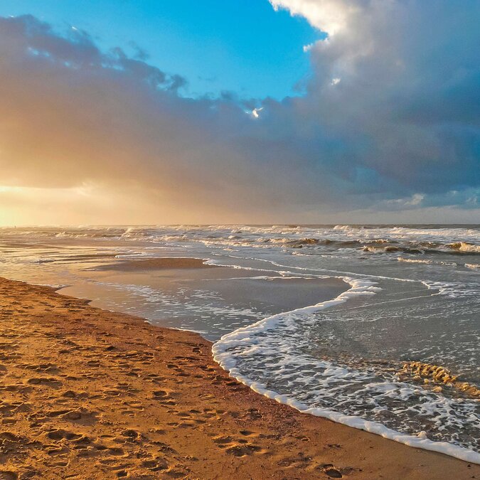 Am Strand von Norderney | © Shutterstock 520522306