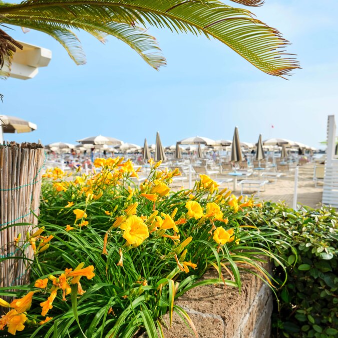 Strand an der Adria | © Shutterstock 2172110319